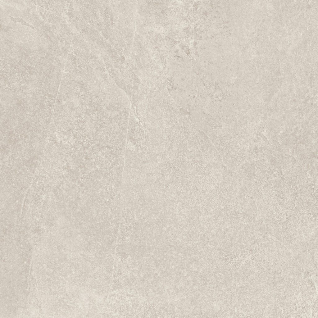 Ragno Realstone_Slate Shell rett. 60x60