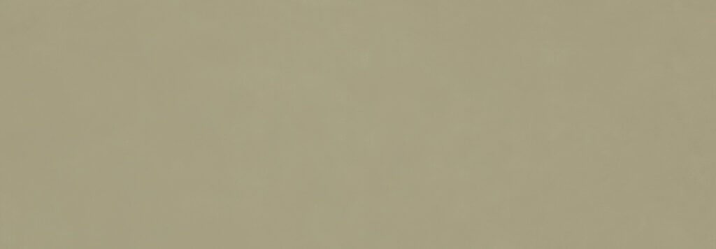 Ragno Vida Verde rett. 30x90