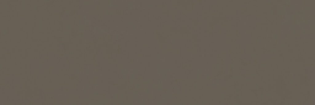 Ragno Vida Fango rett. 30x90