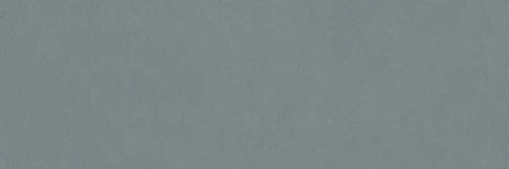 Ragno Vida Azzurro rett. 30x90