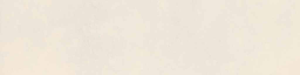 Ragno Decora Bianco rett. 30x120